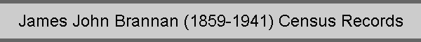 James John Brannan (1859-1941) Census Records